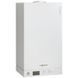Газовый котел Viessmann Vitopend 100-W 24 кВт &mdash; фото 1