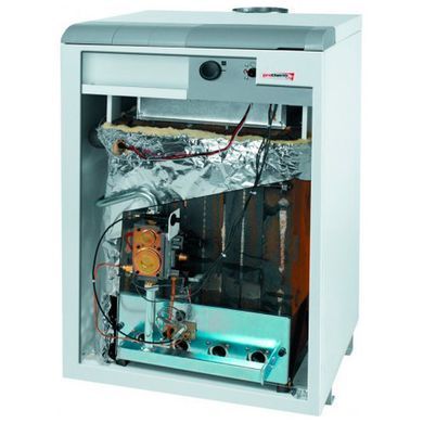 Газовий котел Protherm Ведмідь 50 TLO
