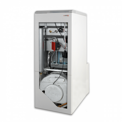 Газовий котел Protherm Ведмідь 30 КLZ