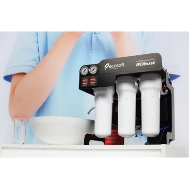 Система обратного осмоса Ecosoft RObust 1000