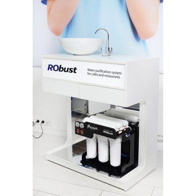 Система обратного осмоса Ecosoft RObust 1000