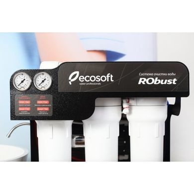 Система обратного осмоса Ecosoft RObust 1000