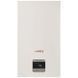 Газовый котел Protherm Panther Condens 25 KKO CS/1 (N INT) &mdash; фото 1