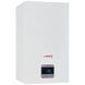 Газовый котел Protherm Panther Condens 25 KKO CS/1 (N INT) &mdash; фото 2