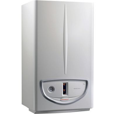 Газовый котел IMMERGAS Maior Eolo X 28