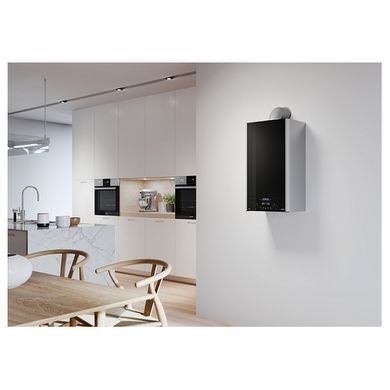 Газовий котел Ariston ALTEAS XC 30 FF NG